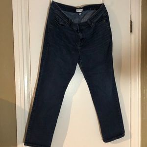 Lane Bryant mid-rise, straight-leg, dark wash keans